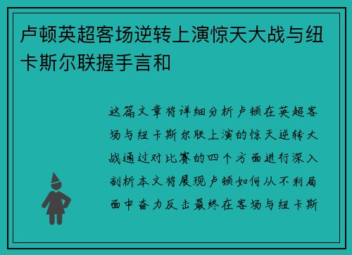 卢顿英超客场逆转上演惊天大战与纽卡斯尔联握手言和 卢顿英超客场逆转上演惊天大战与纽卡斯尔联握手言和