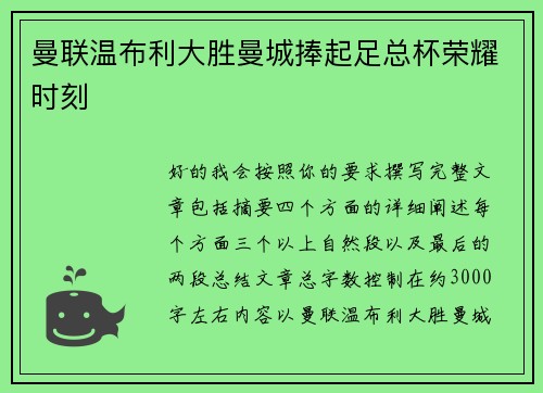 曼联温布利大胜曼城捧起足总杯荣耀时刻