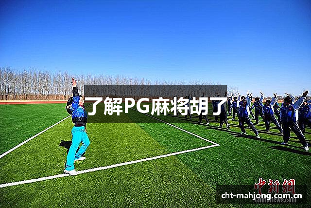 了解PG麻将胡了